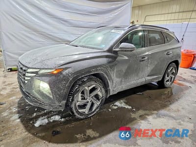 2024 HYUNDAI TUCSON LIMITED 5NMJECDEXRH339245 - główne zdjęcie licytacji z USA - miniatura