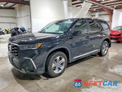 2025 HONDA PILOT EXL 5FNYG1H45SB151285 - główne zdjęcie licytacji z USA - miniatura