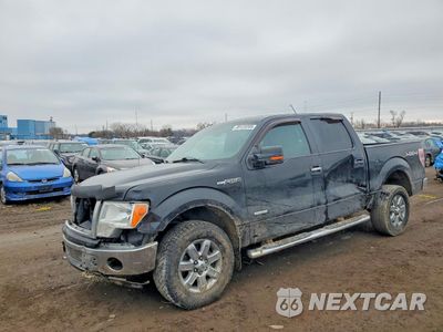 2013 FORD F150 SUPERCREW 1FTFW1ET1DKD36929 - główne zdjęcie licytacji z USA - miniatura