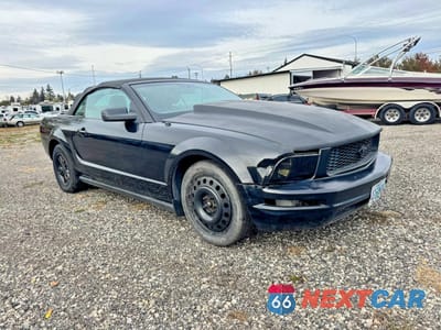2006 FORD MUSTANG 1ZVFT84N165166218 - główne zdjęcie licytacji z USA - miniatura