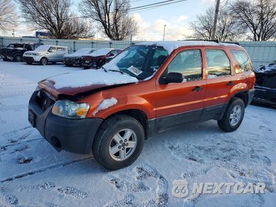 2007 FORD ESCAPE XLS 1FMCU02Z87KA62530 - główne zdjęcie licytacji z USA - miniatura
