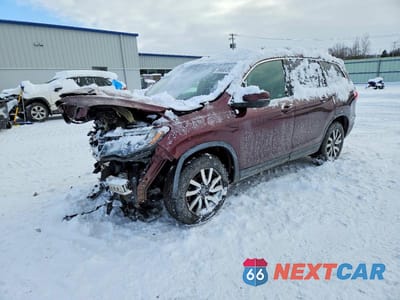 2019 HONDA PILOT EXL 5FNYF6H59KB027738 - główne zdjęcie licytacji z USA - miniatura