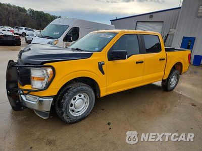 2021 FORD F150 SUPERCREW 1FTFW1E53MKD34827 - główne zdjęcie licytacji z USA - miniatura