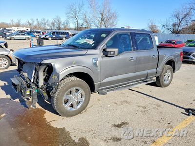 2025 FORD F150 XLT 1FTEW3LP8SKE13001 - główne zdjęcie licytacji z USA - miniatura