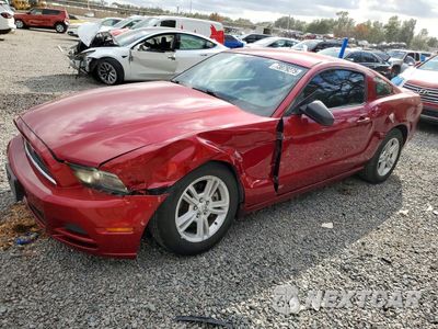 2014 FORD MUSTANG 1ZVBP8AM8E5269584 - główne zdjęcie licytacji z USA - miniatura