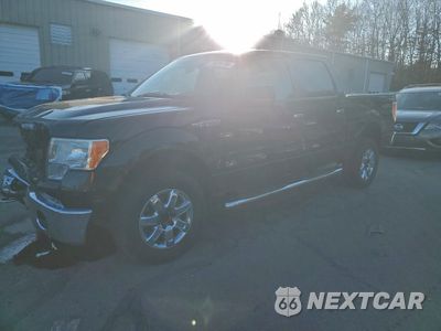 2013 FORD F150 SUPERCREW 1FTFW1EF8DFD15899 - główne zdjęcie licytacji z USA - miniatura