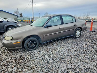 2002 CHEVROLET MALIBU 1G1ND52J92M607449 - główne zdjęcie licytacji z USA - miniatura