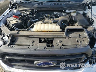 Zdjęcie 12 z 13 samochodu: 2023 FORD F150 SUPER CAB VIN:1FTEX1CP6PKG21287 - miniatura