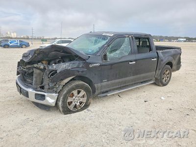 2016 FORD F150 SUPERCREW 1FTEW1CP9GKE71825 - główne zdjęcie licytacji z USA - miniatura