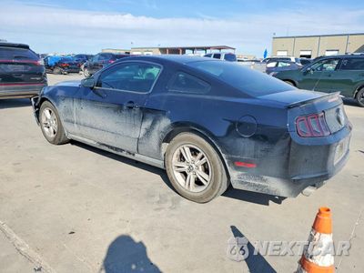 Drugie zdjęcie samochodu z przodu: 2013 FORD MUSTANG VIN:1ZVBP8AM3D5274982 - miniatura