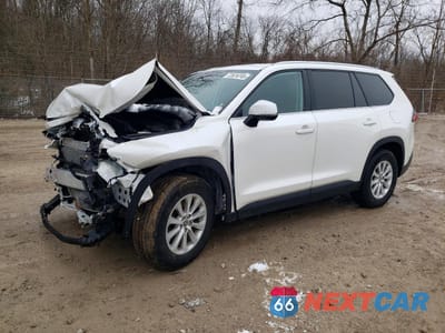 2024 TOYOTA GRAND HIGHLANDER XLE 5TDAAAB58RS014996 - główne zdjęcie licytacji z USA - miniatura