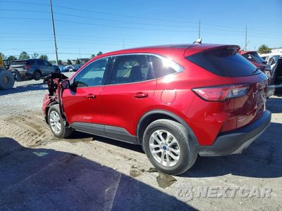 Drugie zdjęcie samochodu z przodu: 2020 FORD ESCAPE SE VIN:1FMCU9G69LUB31954 - miniatura