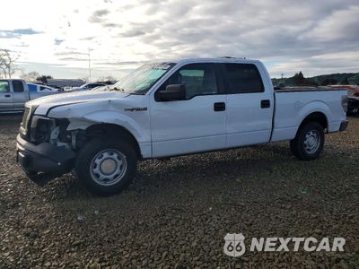 2014 FORD F150 SUPERCREW 1FTVW1CF7EKF62063 - główne zdjęcie licytacji z USA - miniatura