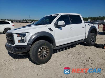 2019 FORD F150 RAPTOR 1FTFW1RG9KFD17791 - główne zdjęcie licytacji z USA - miniatura