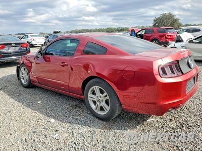 Drugie zdjęcie samochodu z przodu: 2014 FORD MUSTANG VIN:1ZVBP8AM8E5269584 - miniatura