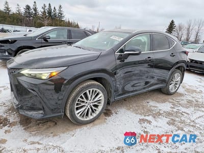 2023 LEXUS NX 350 2T2GGCEZ2PC018546 - główne zdjęcie licytacji z USA - miniatura