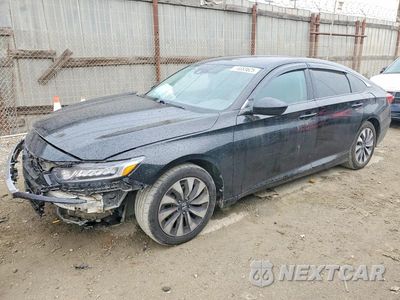 2008 HONDA ACCORD LX 1HGCV1F14JA123169 - główne zdjęcie licytacji z USA - miniatura