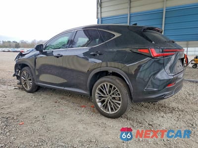 Drugie zdjęcie samochodu z przodu: 2026 LEXUS NX 350 LUXURY VIN:2T2HGCEZ7TC101422 - miniatura