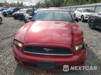 Piąte zdjęcie samochodu w środku: 2014 FORD MUSTANG VIN:1ZVBP8AM8E5269584 - miniatura