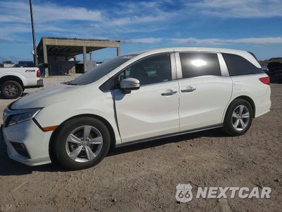 2019 HONDA ODYSSEY EXL 5FNRL6H7XKB023938 - główne zdjęcie licytacji z USA - miniatura