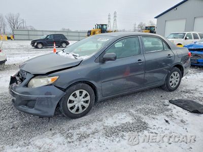2010 TOYOTA COROLLA BASE 2T1BU4EE5AC312119 - główne zdjęcie licytacji z USA - miniatura