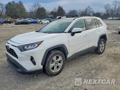 2019 TOYOTA RAV4 XLE 2T3W1RFV8KW057558 - główne zdjęcie licytacji z USA - miniatura