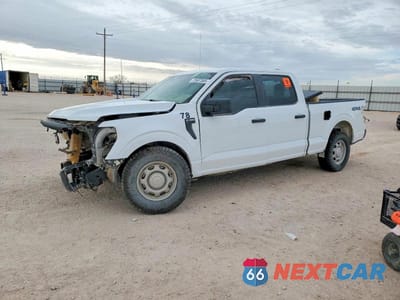 2024 FORD F150 XL 1FTFW1L54RKE15796 - główne zdjęcie licytacji z USA - miniatura