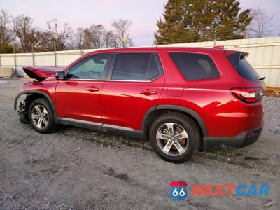 Drugie zdjęcie samochodu z przodu: 2025 HONDA PILOT EXL VIN:5FNYG2H41SB014947 - miniatura