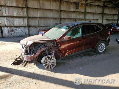 2021 FORD ESCAPE SE 1FMCU0G66MUA53064 - główne zdjęcie licytacji z USA - miniatura