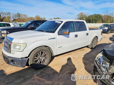 2014 FORD F150 SUPERCREW 1FTFW1CT8EKG54745 - główne zdjęcie licytacji z USA - miniatura