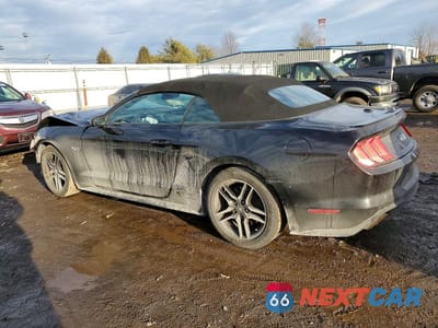 Drugie zdjęcie samochodu z przodu: 2019 FORD MUSTANG GT VIN:1FATP8FF1K5104706 - miniatura