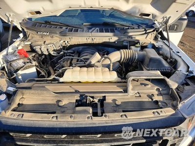 Zdjęcie 11 z 13 samochodu: 2023 FORD F150 VIN:1FTFW1E54PKE09961 - miniatura