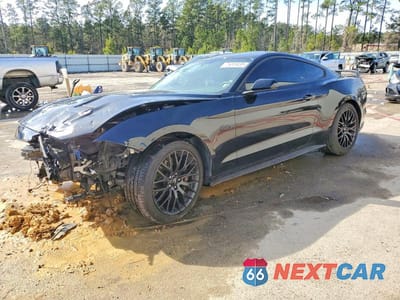 2019 FORD MUSTANG GT 1FA6P8CF1K5129137 - główne zdjęcie licytacji z USA - miniatura