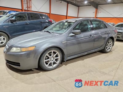2005 ACURA TL 19UUA66235A801096 - główne zdjęcie licytacji z USA - miniatura