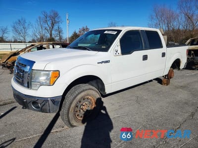 2010 FORD F150 SUPERCREW 1FTEW1E85AKE80499 - główne zdjęcie licytacji z USA - miniatura