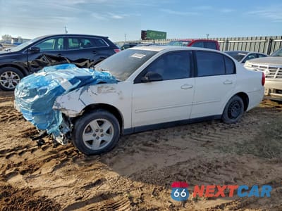 2005 CHEVROLET MALIBU LS 1G1ZT52875F243817 - główne zdjęcie licytacji z USA - miniatura