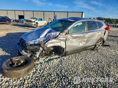 2019 HONDA CR-V EXL 5J6RW1H86KA023117 - główne zdjęcie licytacji z USA - miniatura