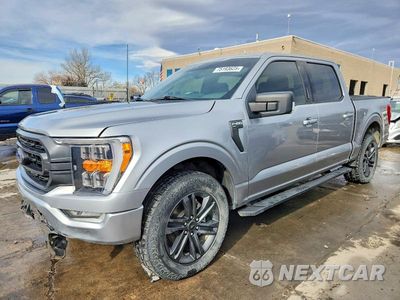 2021 FORD F150 SUPERCREW 1FTFW1E84MKE99019 - główne zdjęcie licytacji z USA - miniatura