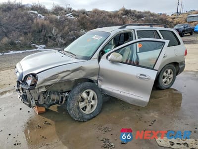 2005 HYUNDAI SANTA FE GLS KM8SC73D85U938654 - główne zdjęcie licytacji z USA - miniatura