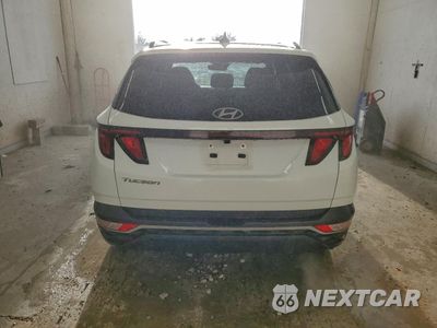 Zdjęcie 6 z 15 samochodu: 2024 HYUNDAI TUCSON SEL VIN:5NMJB3DEXRH326682 - miniatura