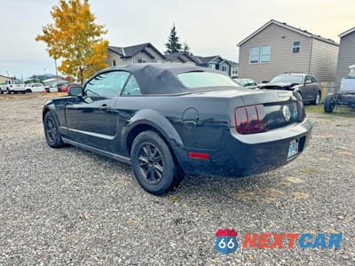 Trzecie zdjęcie samochodu z tyłu: 2006 FORD MUSTANG VIN:1ZVFT84N165166218 - miniatura