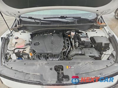 Zdjęcie 12 z 12 samochodu: 2024 KIA SPORTAGE EX VIN:5XYK33DF5RG218734 - miniatura