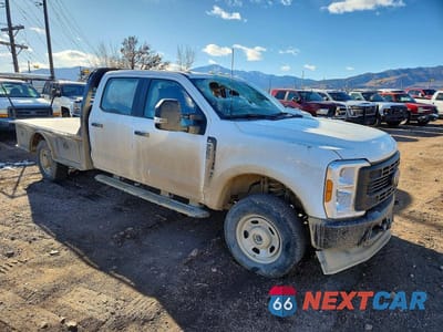 Czwarte zdjęcie samochodu z boku: 2024 FORD F350 SUPER DUTY FLATBED TRUCK VIN:1FD8W3FN2REE85405 - miniatura