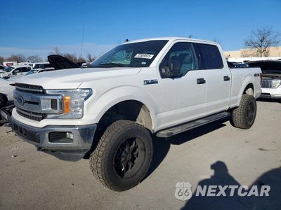 2020 FORD F150 SUPERCREW 1FTFW1E46LFB56300 - główne zdjęcie licytacji z USA - miniatura