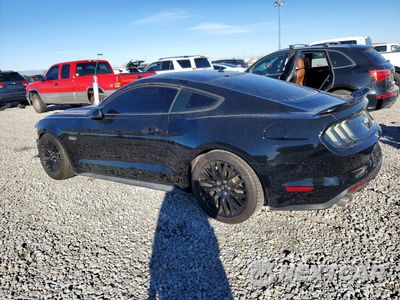 Drugie zdjęcie samochodu z przodu: 2015 FORD MUSTANG GT VIN:1FA6P8CF0F5300594 - miniatura