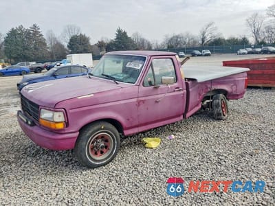 1995 FORD F150 1FTEF14N8SNB11689 - główne zdjęcie licytacji z USA - miniatura