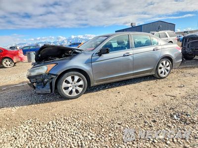2009 HONDA ACCORD EXL 1HGCP26809A078014 - główne zdjęcie licytacji z USA - miniatura