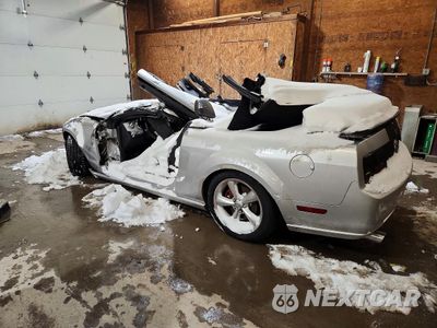 Drugie zdjęcie samochodu z przodu: 2009 FORD MUSTANG GT VIN:1ZVHT85H895134629 - miniatura