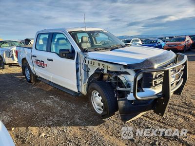 Czwarte zdjęcie samochodu z boku: 2023 FORD F150 VIN:1FTFW1E54PKE09961 - miniatura