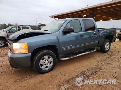 2009 CHEVROLET SILVERADO C1500 LT 3GCEC23JX9G264400 - główne zdjęcie licytacji z USA - miniatura